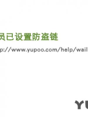霓虹之上 剧集封面
